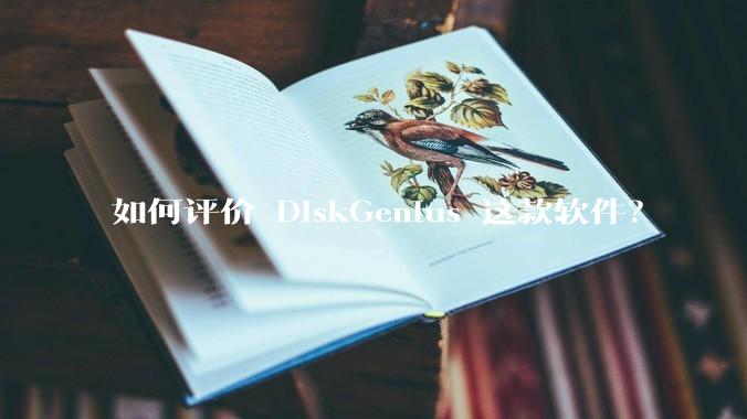 如何评价 DiskGenius 这款软件？