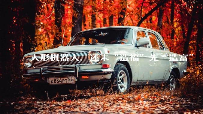 人形机器人，还未“造福”先“造富”_宇树_公司_投资