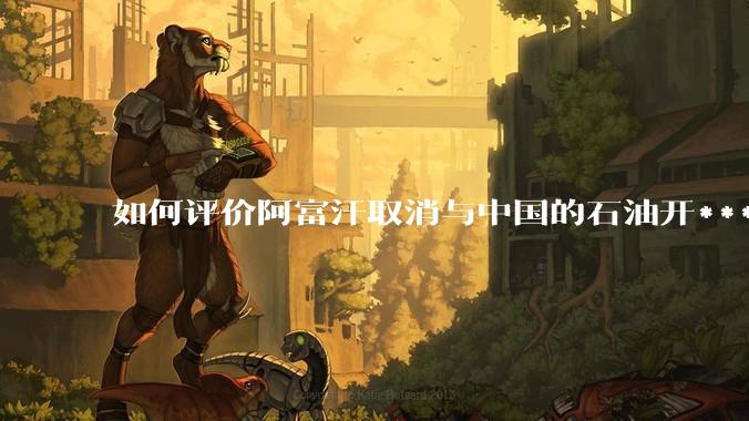 如何评价阿富汗取消与中国的石油开***合同？