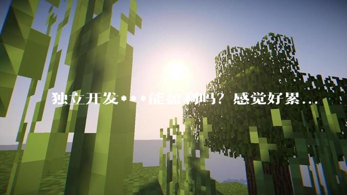 独立开发***能盈利吗？感觉好累...