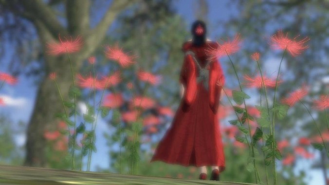 你曾看到空乘做过的最傻的事情是什么？