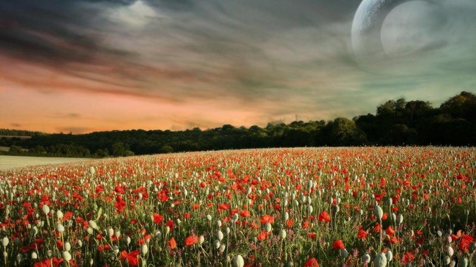 为什么中国军人很少***用力量训练，大部分***用耐力训练？